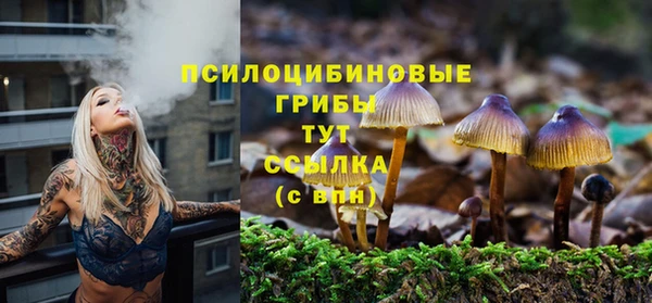 гидропоника Краснотурьинск