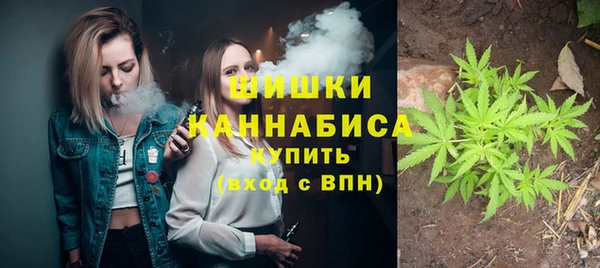 не бодяженный Краснослободск